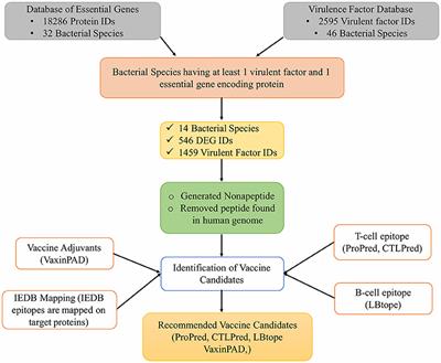 A Web Resource for Designing Subunit Vaccine Against Major Pathogenic Species of Bacteria